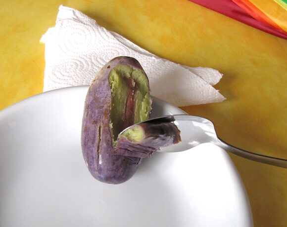 Sapota fruit, which grows in western Africa