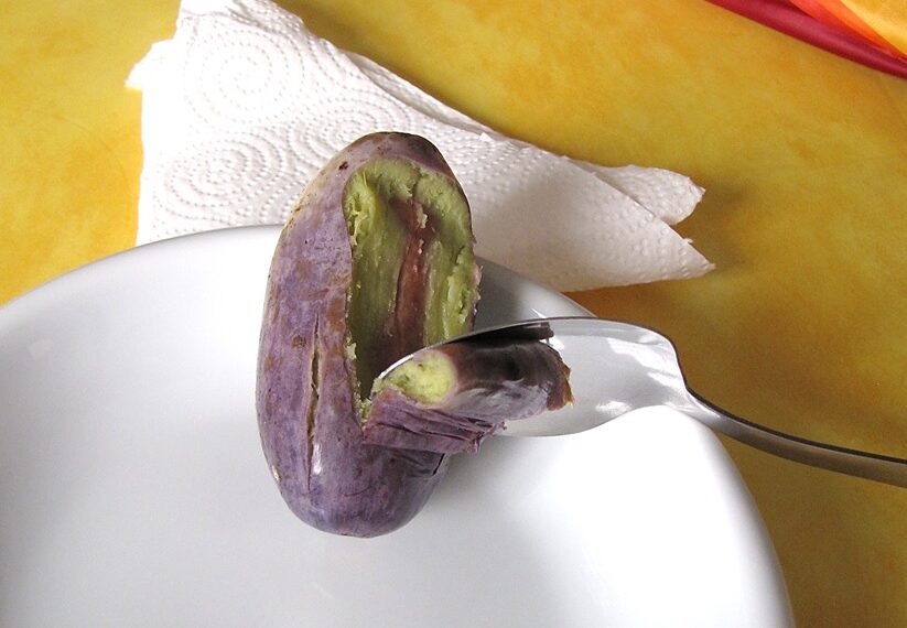 Sapota fruit, which grows in western Africa