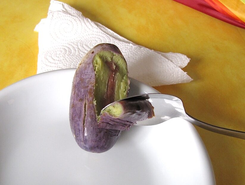 Sapota fruit, which grows in western Africa