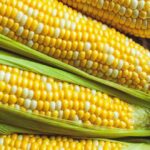 ಸ್ವೀಟ್ ಕಾರ್ನ್ ರಫ್ತುಮಾಡುವ ಪ್ರಮುಖ ದೇಶ ?