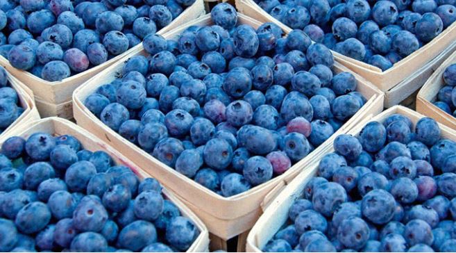 blueberry