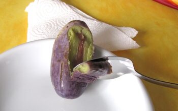 Sapota fruit, which grows in western Africa