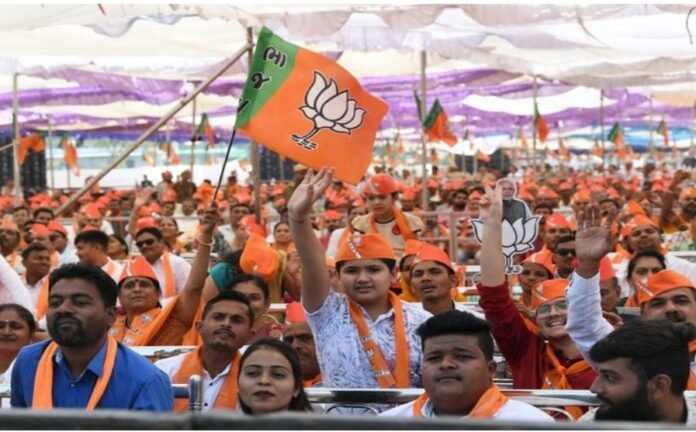 Gujarat local body elections BJP wins majority again in most places