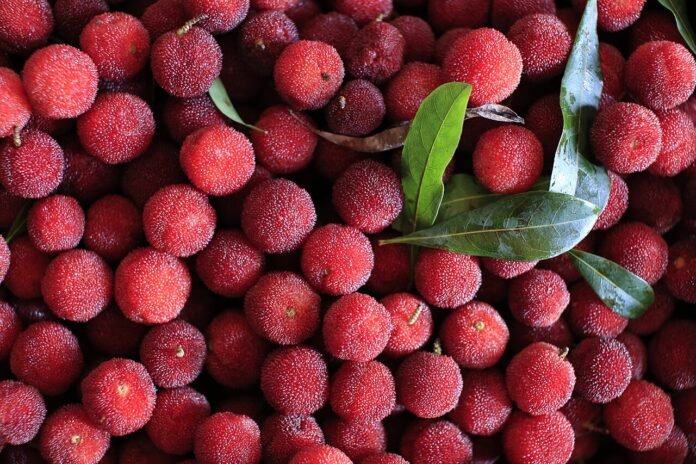 The story of the young mee fruit yum berry