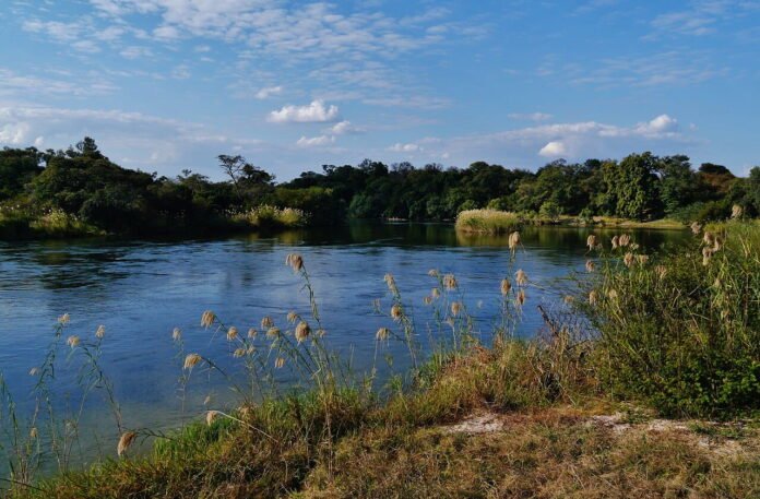 There are rivers that the sea does not want | Permanent swamps turn into land |