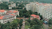 spot_img